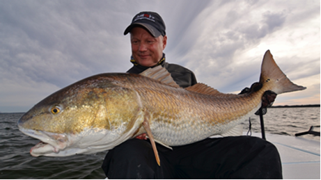 Florida Redfish State Record