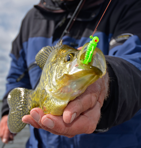 Small Crappie Jig