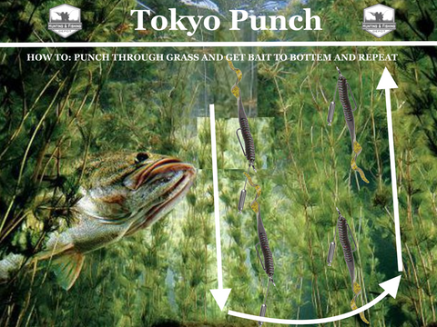 Tokyo Punch