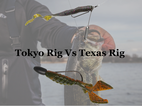 Tokyo Rig Vs Texas Rig