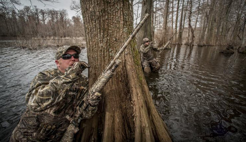 In Swamp Calling Wood Ducks