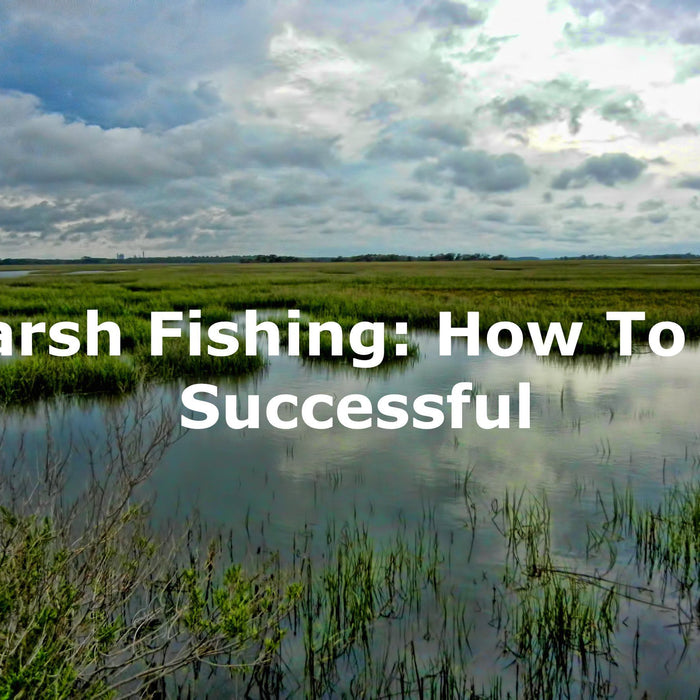 Marsh Fishing: How to be successful