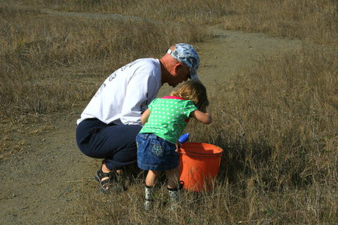Teaching kids young to find fiddler crabs