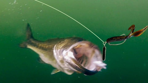 How to fish a jika rig