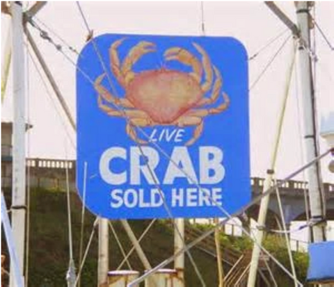 Lazy Man Fiddler Crab Technique - Buy them at a bait shop