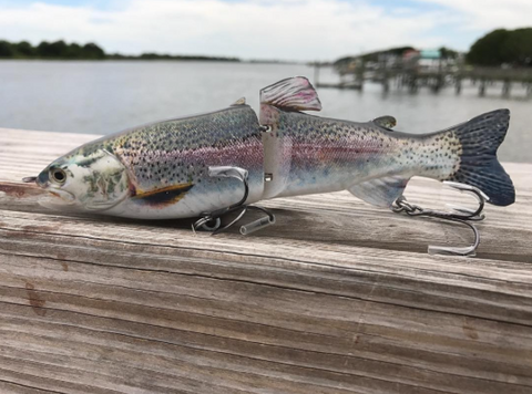 Broken Back Trout Glider At The Dock