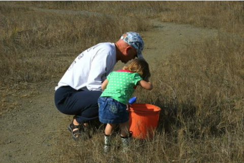 Teach them young how to catch fiddler crabs