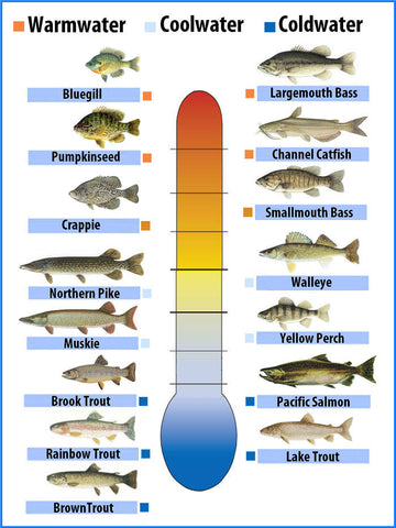 Watertemperature and bass fishing