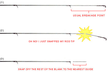 Common Break Points On a Fishing Rod