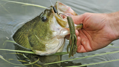 Craw Lures For Bass Fishing